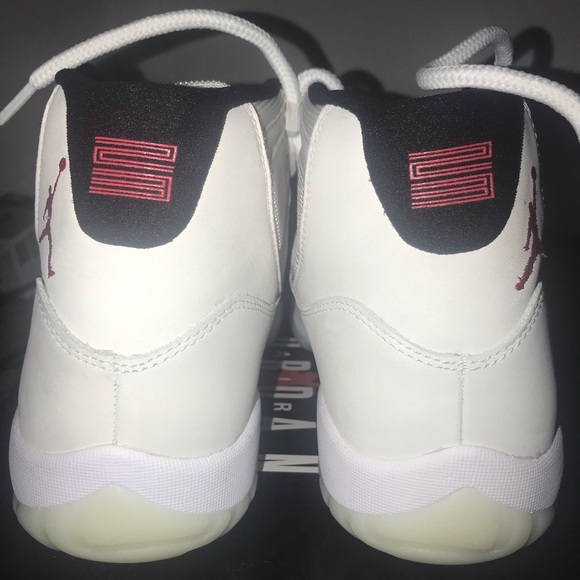 fake platinum tint 11
